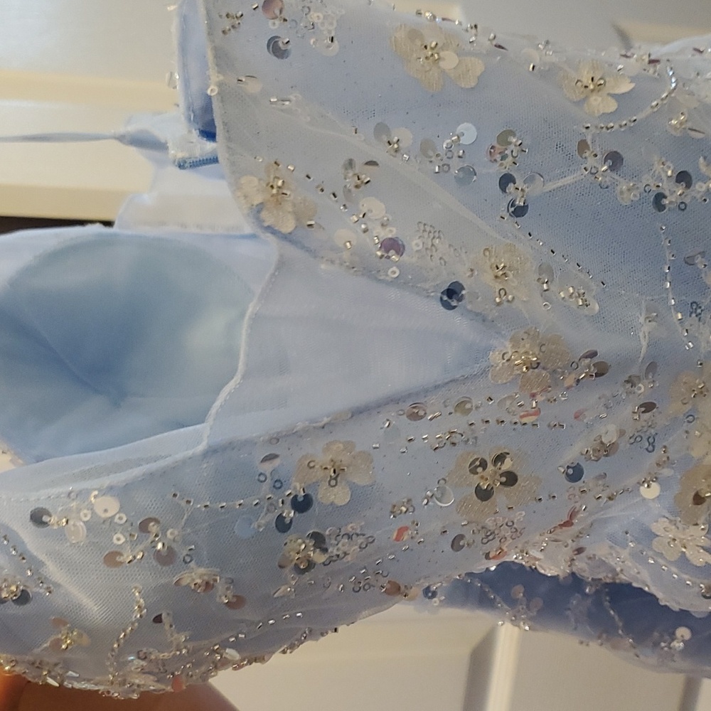 Custome Blue tulle dress, Never Worn - Picture 5 of 10
